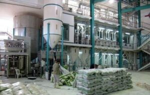 طرح نظارتی ویژه شالیکوبی در گیلان آغاز شد