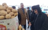 ۵۰۰ تن سیب زمینی جهت تعادل و کاهش قیمت بازار به گیلان وارد شد