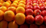 ۲۲۸ تن میوه شب عید در گیلان تامین شد