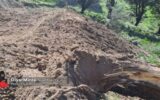 دادستان شفت؛ پیگیر خسارات وارد شده به جنگل های هیرکانی است