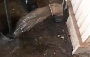 شستشوی بیش از ۲۷۰۰ متر مکعب مخزن ذخیره آب شرب در سطح شهرستان لاهیجان