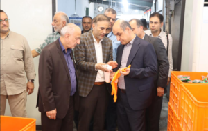 تأکید استاندار گیلان بر توسعه صنعتی با تکیه بر توان مهندسی بومی